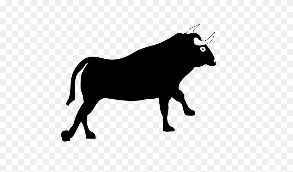 Bull, Gray Png Image