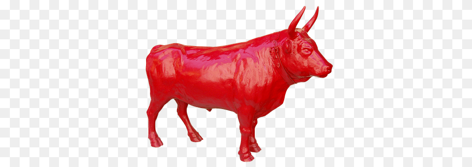 Bull Animal, Cattle, Livestock, Mammal Png Image