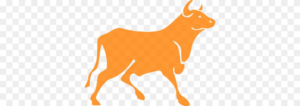 Bull Livestock, Animal, Mammal, Antelope Free Transparent Png