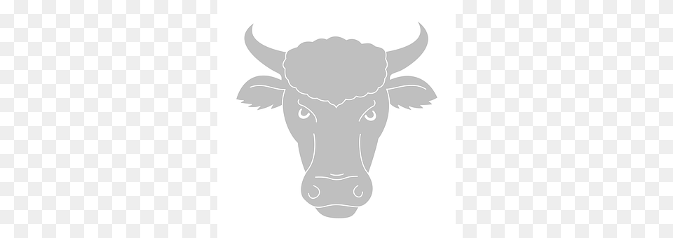 Bull Animal, Mammal, Buffalo, Wildlife Free Png Download