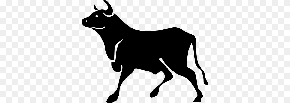 Bull Gray Free Png Download