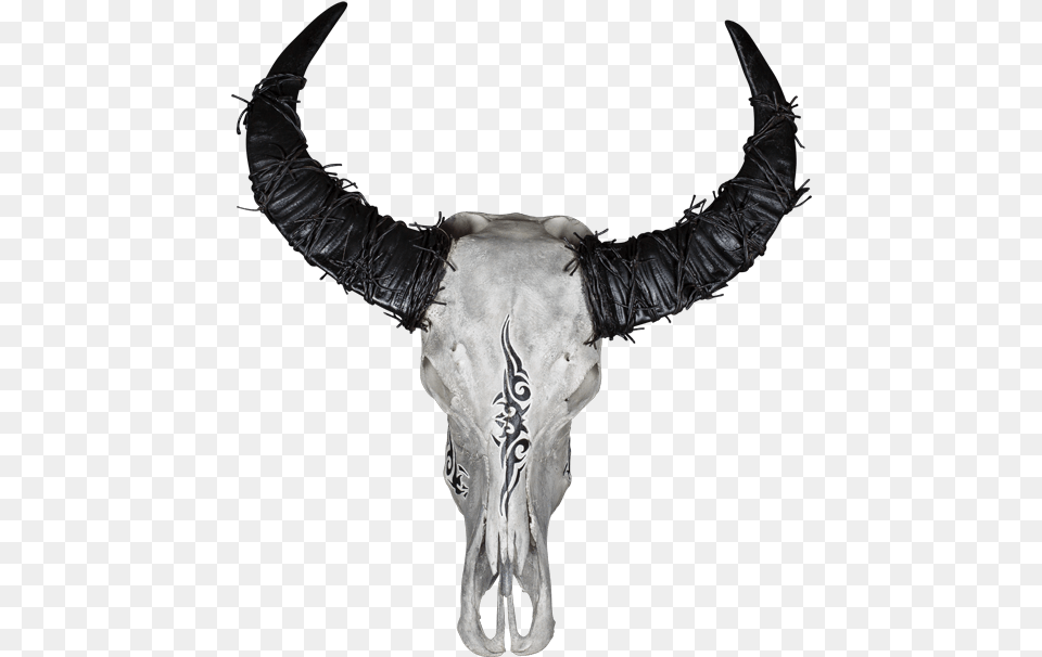 Bull, Animal, Mammal, Accessories, Necklace Png