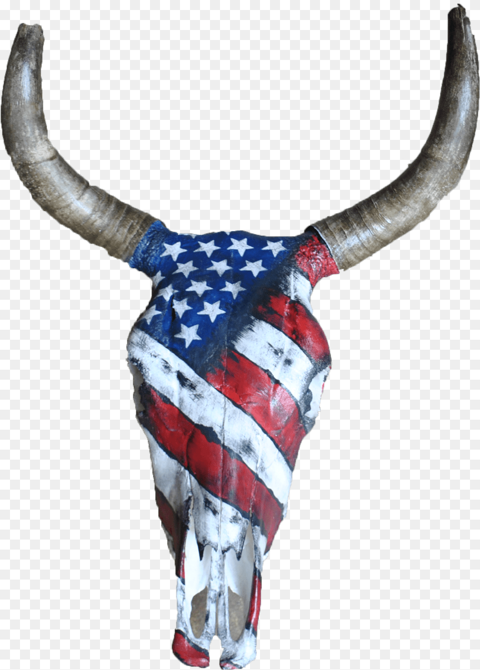 Bull, Animal, Cattle, Livestock, Longhorn Png Image