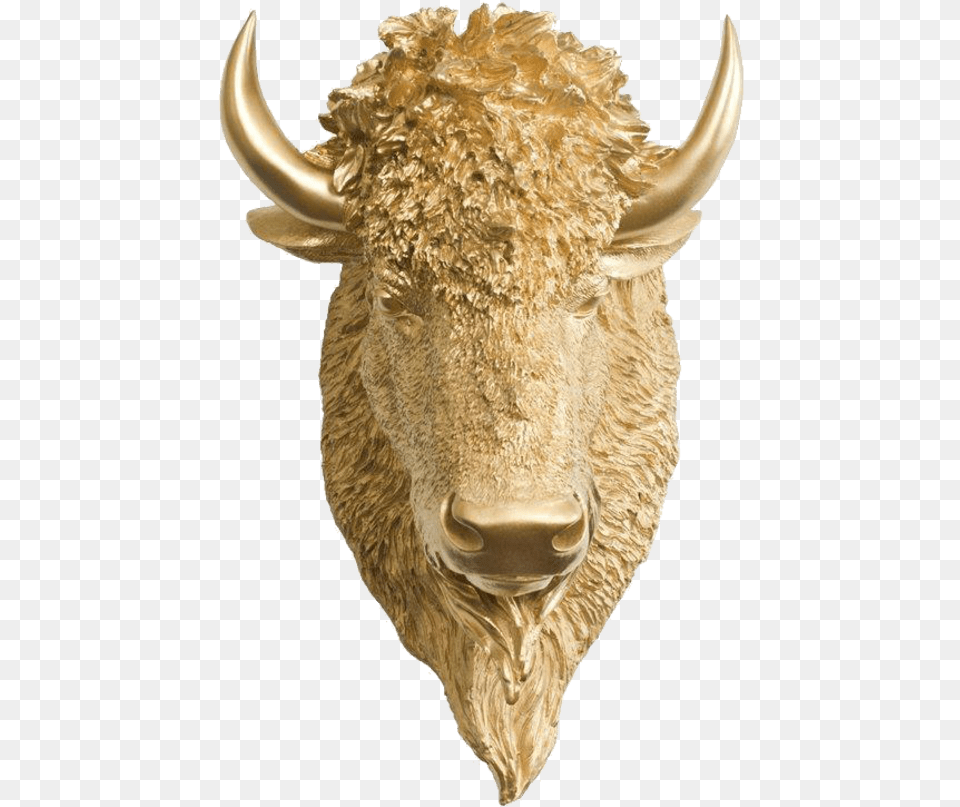 Bull, Animal, Mammal, Buffalo, Wildlife Png Image