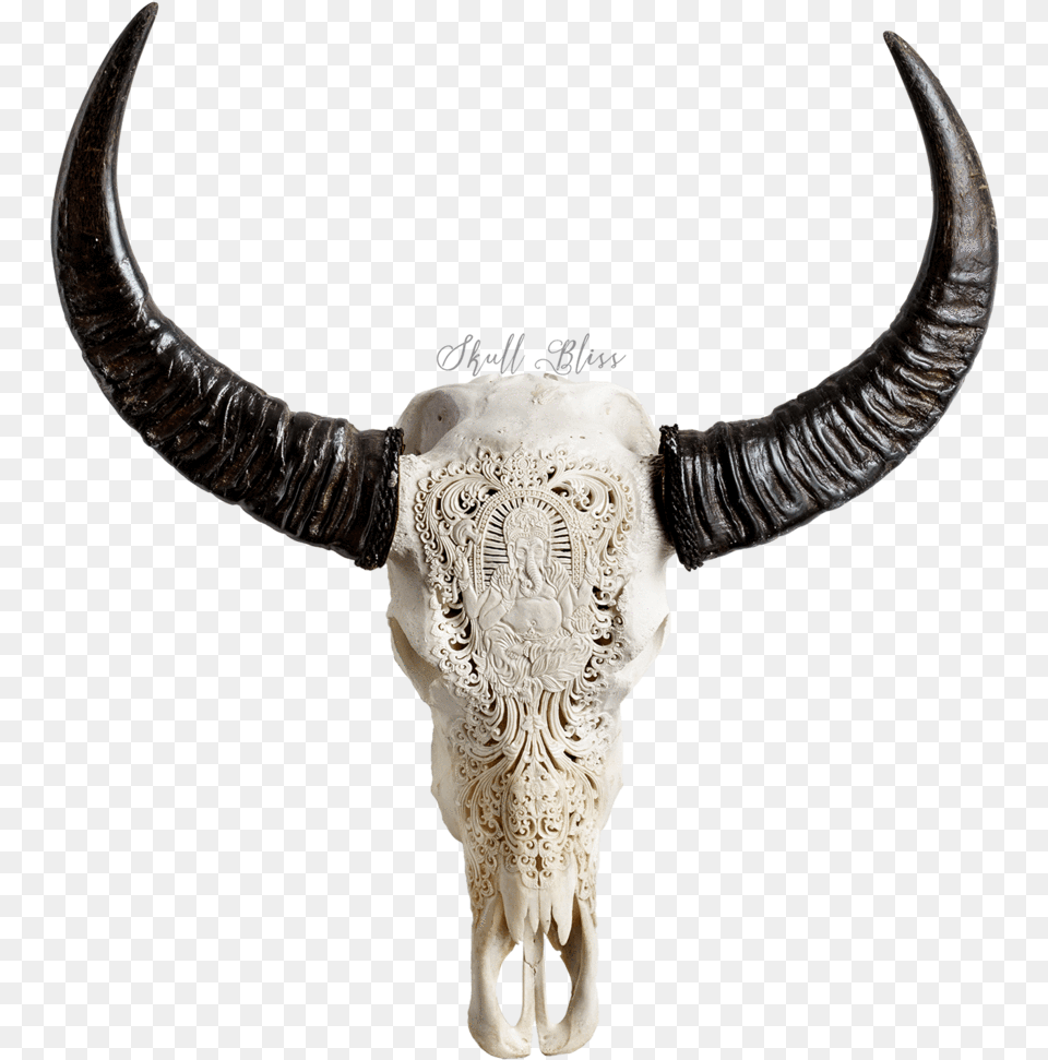 Bull, Animal, Mammal, Cattle, Livestock Free Png