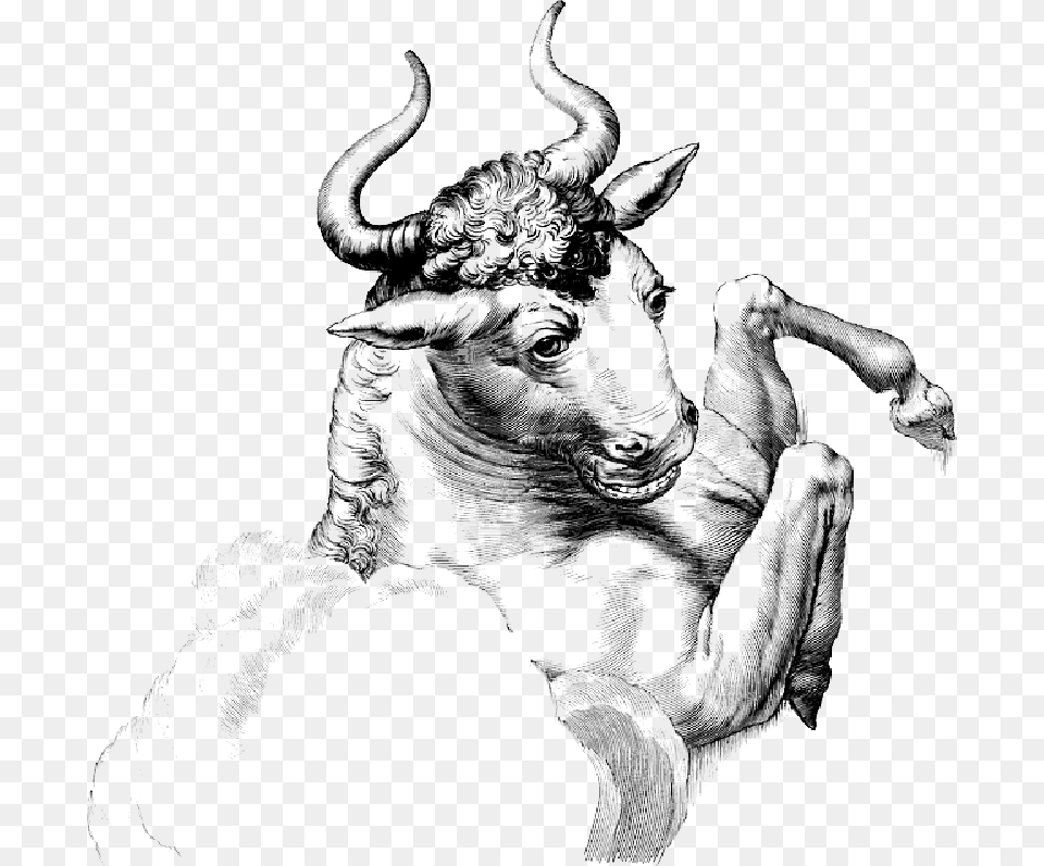 Bull Buffalo Horn Animal Mammal Large Celtic Mythology Gallic Mythology Giants Names, Adult, Person, Man, Male Png Image