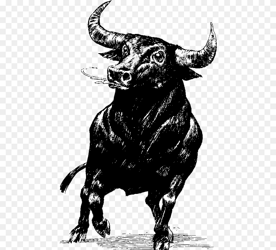 Bull Bull, Animal, Buffalo, Mammal, Wildlife Free Transparent Png