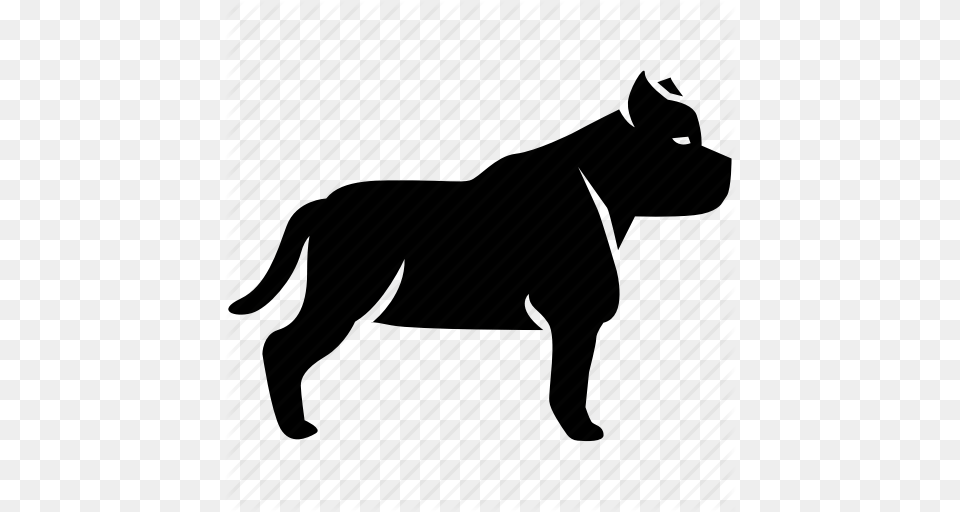 Bull Bulldog Dog Fighting Pit Pitbull Terrier Icon, Animal, Mammal Free Png