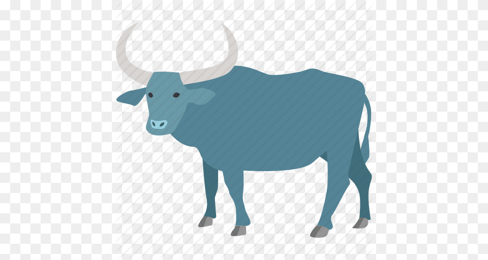 Bull Cattle Ox Oxen Rodeo Water Water Buffalo Icon, Animal, Livestock, Mammal, Longhorn Png Image