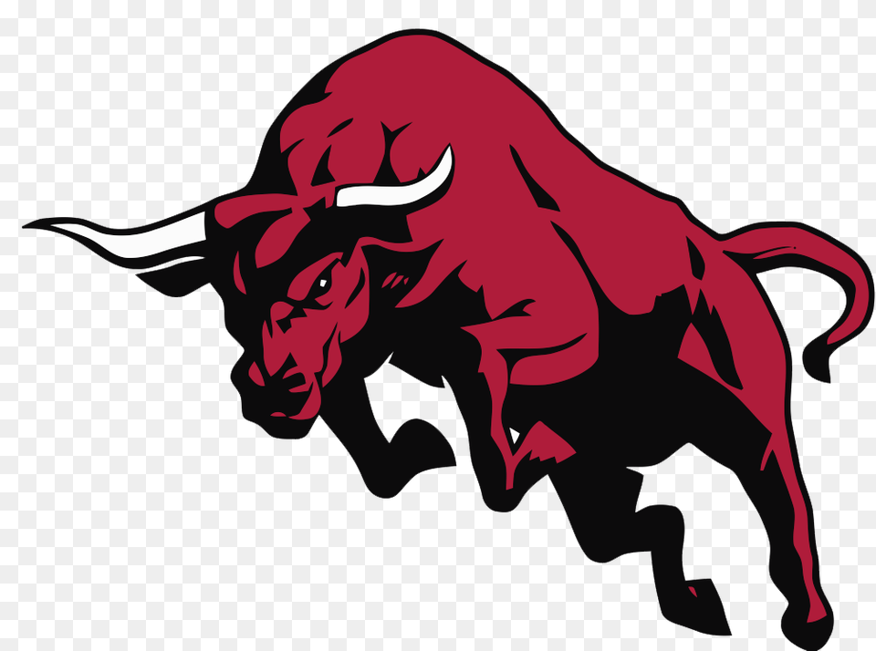 Bull Clipart, Animal, Mammal, Buffalo, Wildlife Png