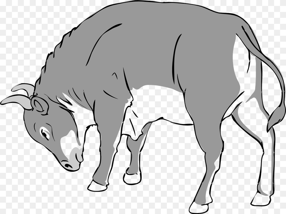 Bull Clipart, Animal, Mammal, Cattle, Cow Png