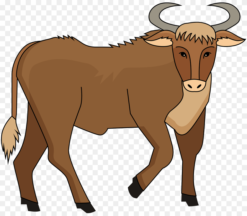 Bull Clipart, Animal, Mammal, Ox, Cattle Png Image