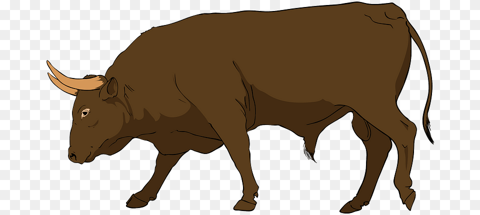 Bull Clipart, Animal, Mammal, Cattle, Livestock Png Image