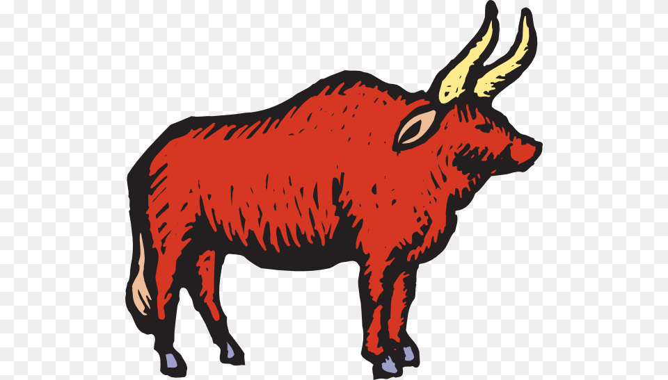 Bull Clipart, Animal, Mammal, Buffalo, Wildlife Free Png