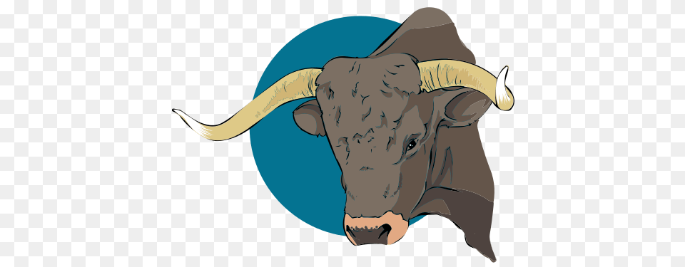 Bull Clipart Bull Head, Animal, Mammal, Ox, Cattle Png Image