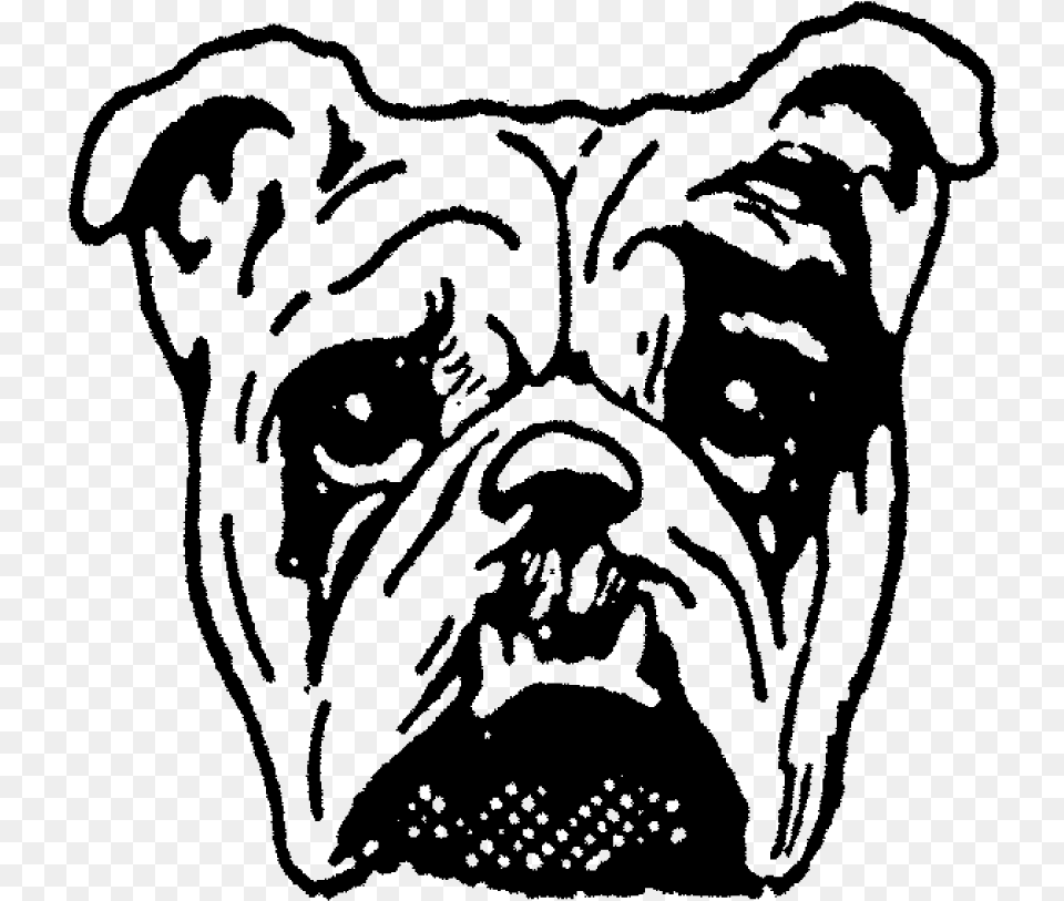 Bull Dog Face Rubber Stamptitle Bull Dog Face Rubber Dog Face, Gray Png