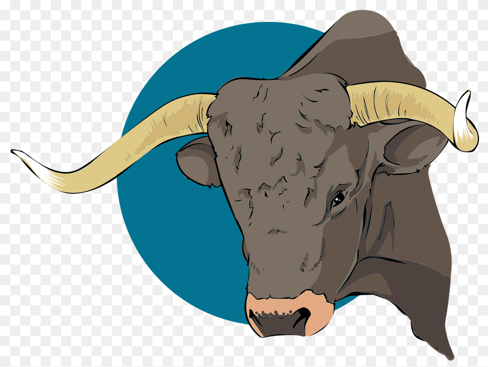 Bull Head Clipart, Animal, Mammal, Cattle, Longhorn Free Png Download