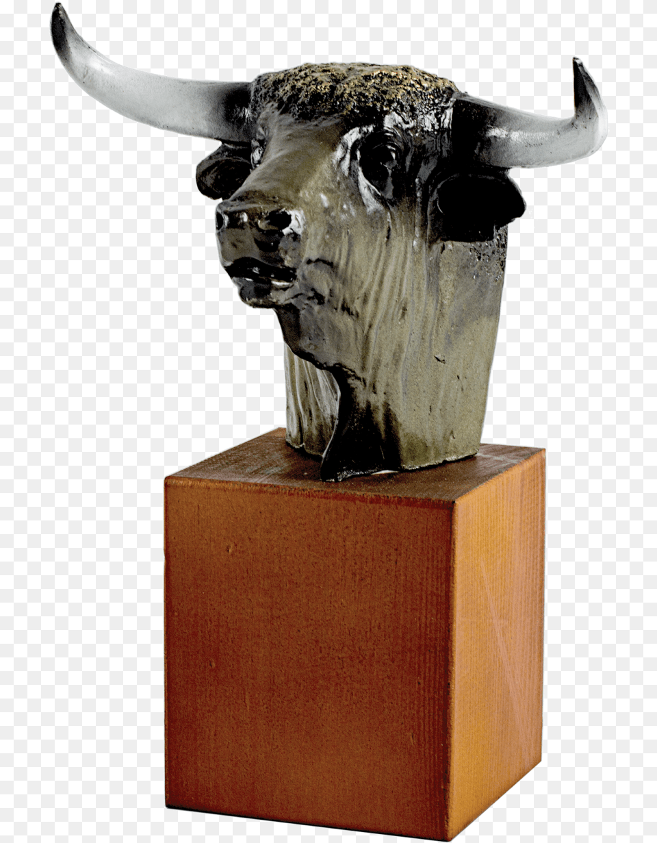 Bull Head Trophy De Touro Trofel, Animal, Mammal, Dinosaur, Reptile Free Transparent Png