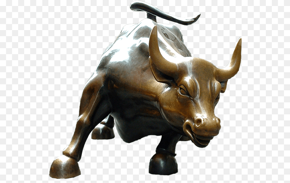 Bull Horns Charging Bull, Animal, Ox, Mammal, Cattle Free Png Download