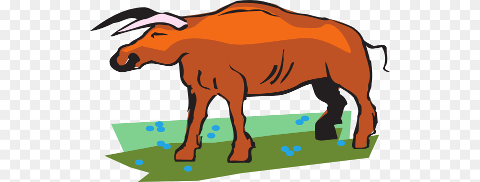 Bull In A Field Clip Art For Web, Animal, Buffalo, Mammal, Wildlife Free Png Download