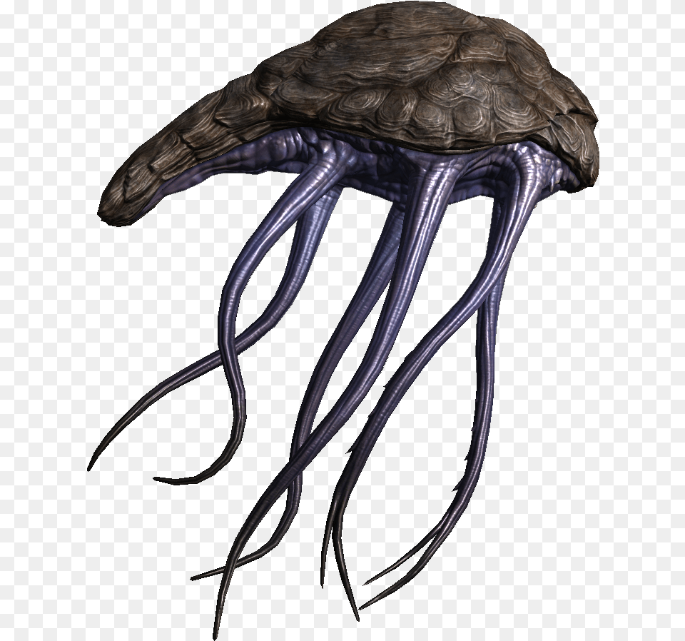 Bull Netch Elder Scrolls, Animal, Sea Life Free Transparent Png