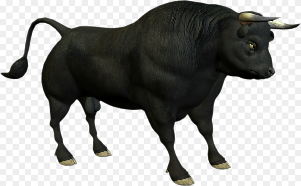 Bull Photo Bull, Animal, Mammal, Cattle, Cow Free Png