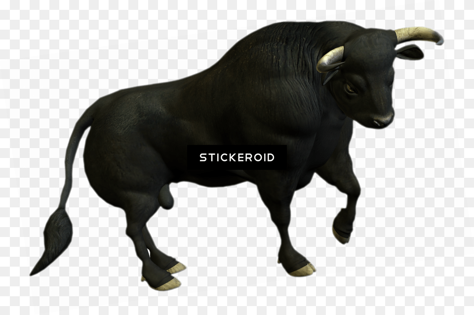 Bull Pic, Animal, Mammal, Cattle, Cow Free Transparent Png