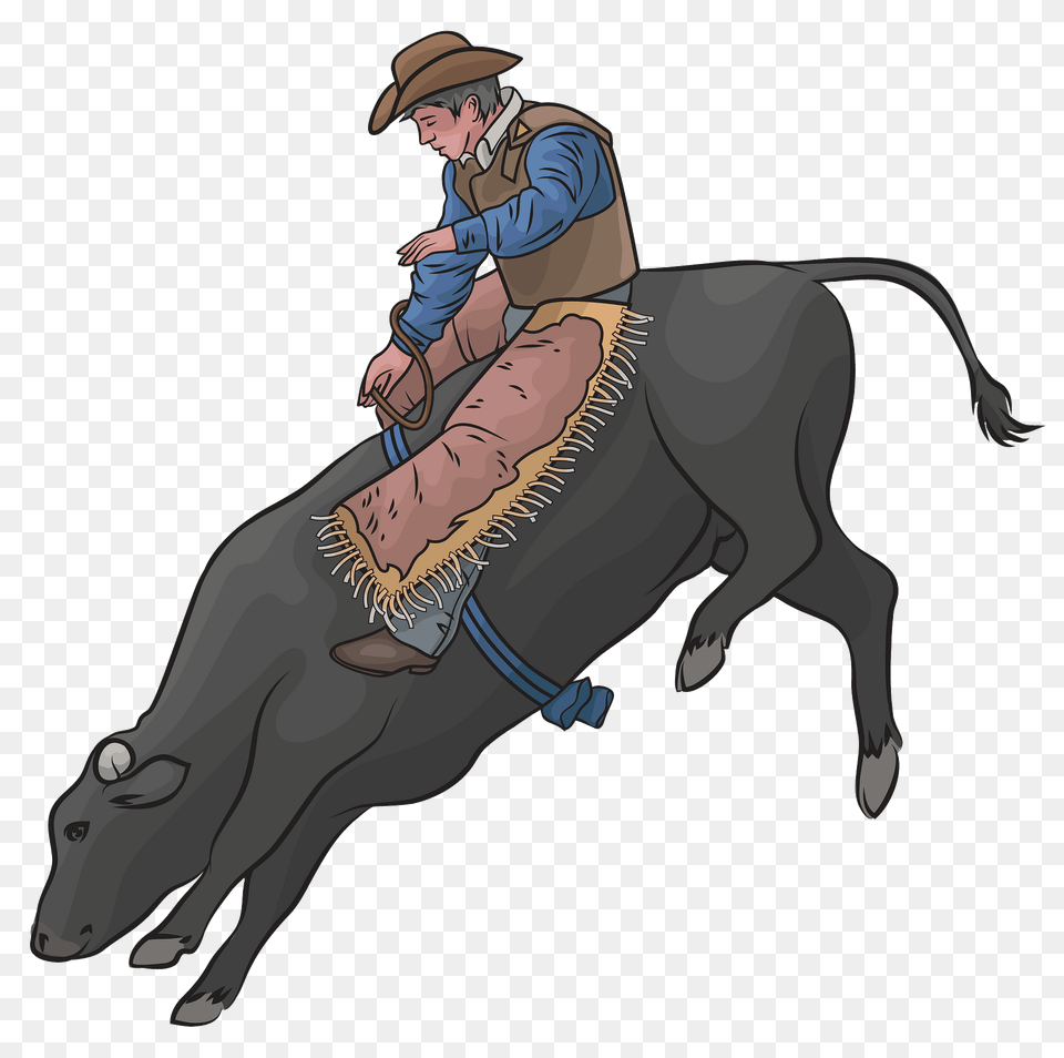 Bull Riding Clipart, Animal, Mammal, Baby, Person Free Png Download