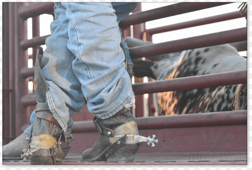 Bull Riding Spurs Canvas Print Cowboy Boots Big Spurs, Jeans, Clothing, Pants, Male Png Image