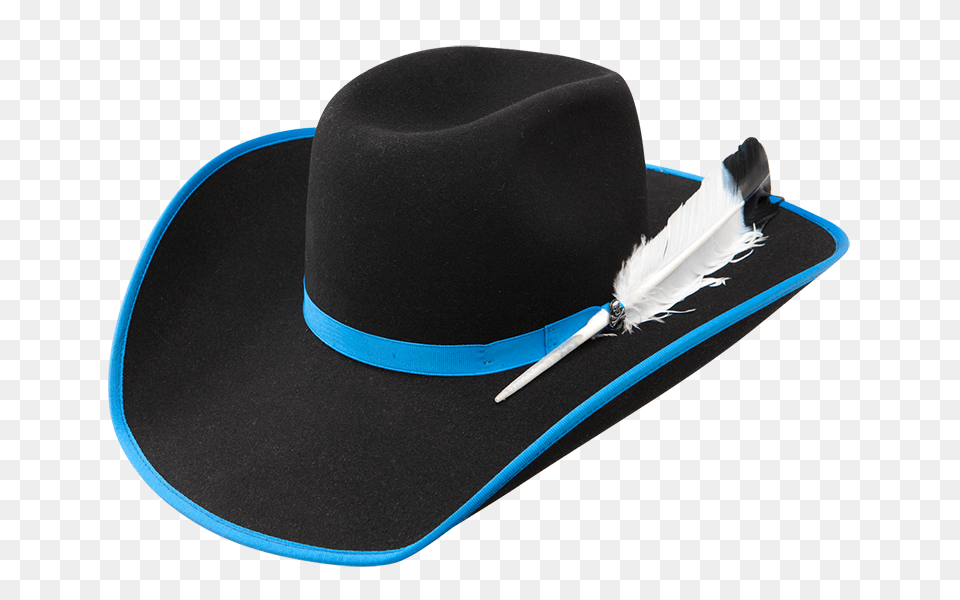 Bull Ridingcowboy, Clothing, Hat, Cowboy Hat, Sun Hat Png