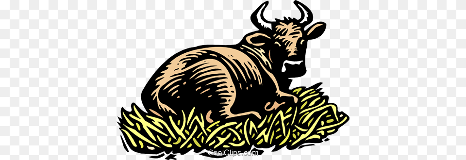 Bull Royalty Vector Clip Art Illustration, Animal, Buffalo, Mammal, Wildlife Png Image