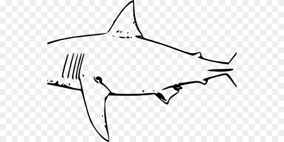 Bull Shark Clipart, Animal, Fish, Sea Life, Great White Shark Free Png