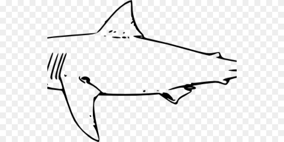 Bull Shark Clipart Bruce, Gray Free Transparent Png