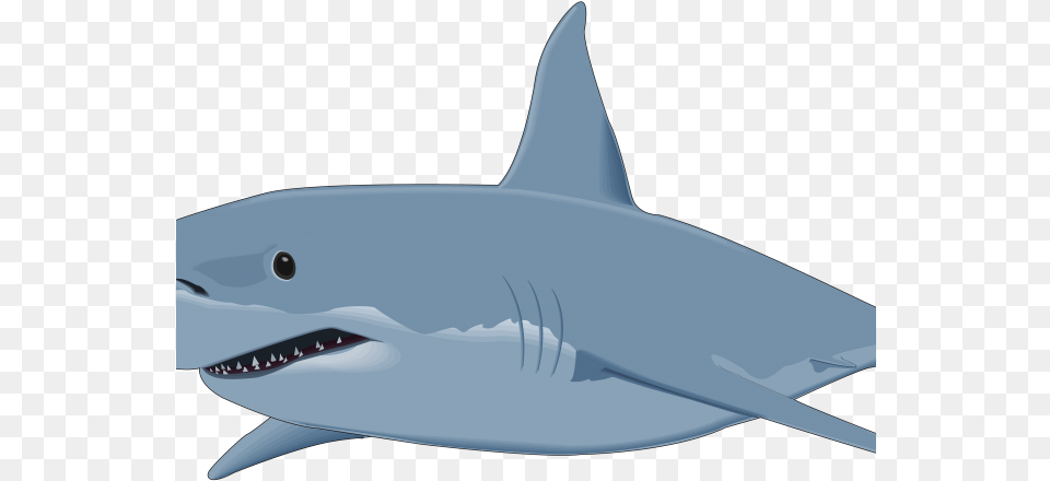 Bull Shark Clipart Shark Shadow Great White Shark Clipart, Animal, Sea Life, Fish, Great White Shark Free Png Download