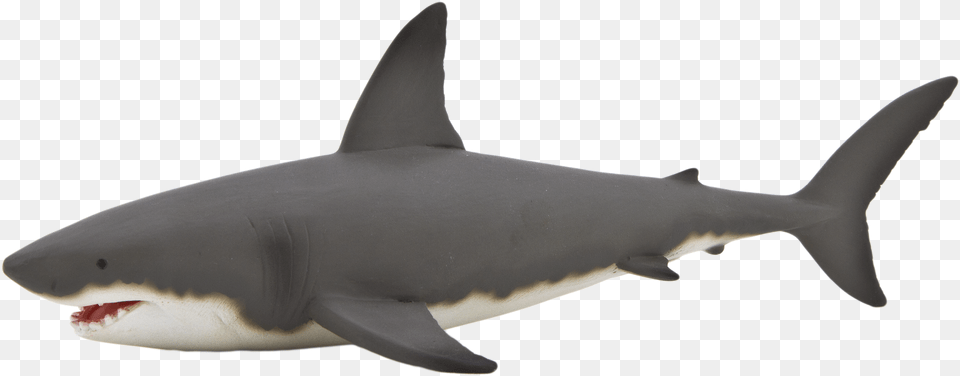 Bull Shark Clipart Transparent Transparent Background Shark, Animal, Fish, Sea Life, Great White Shark Free Png Download