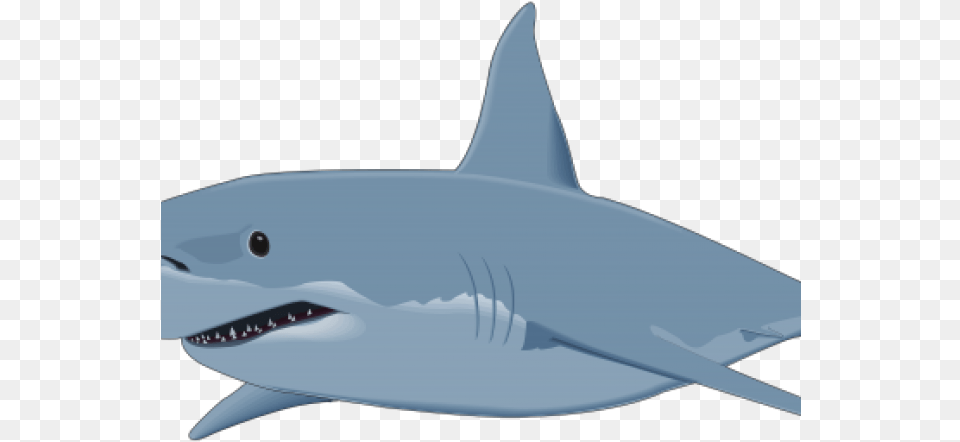Bull Shark Clipart Background Shark Clipart, Animal, Sea Life, Fish, Great White Shark Free Transparent Png