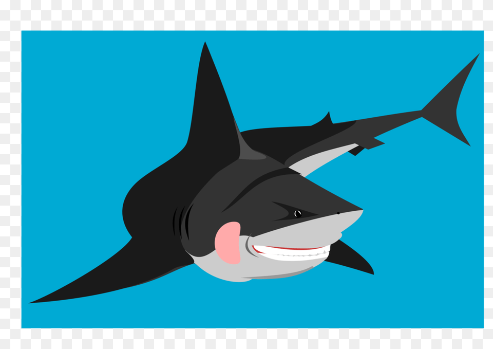 Bull Shark Great White Shark Computer Icons Shark Tooth Animal, Fish, Sea Life Free Transparent Png