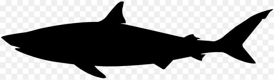 Bull Shark Silhouette, Animal, Sea Life, Fish, Tuna Png