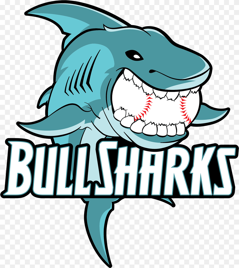Bull Sharks Clipart Download Cartoon Bull Shark Animal, Sea Life, Fish, Face Free Transparent Png