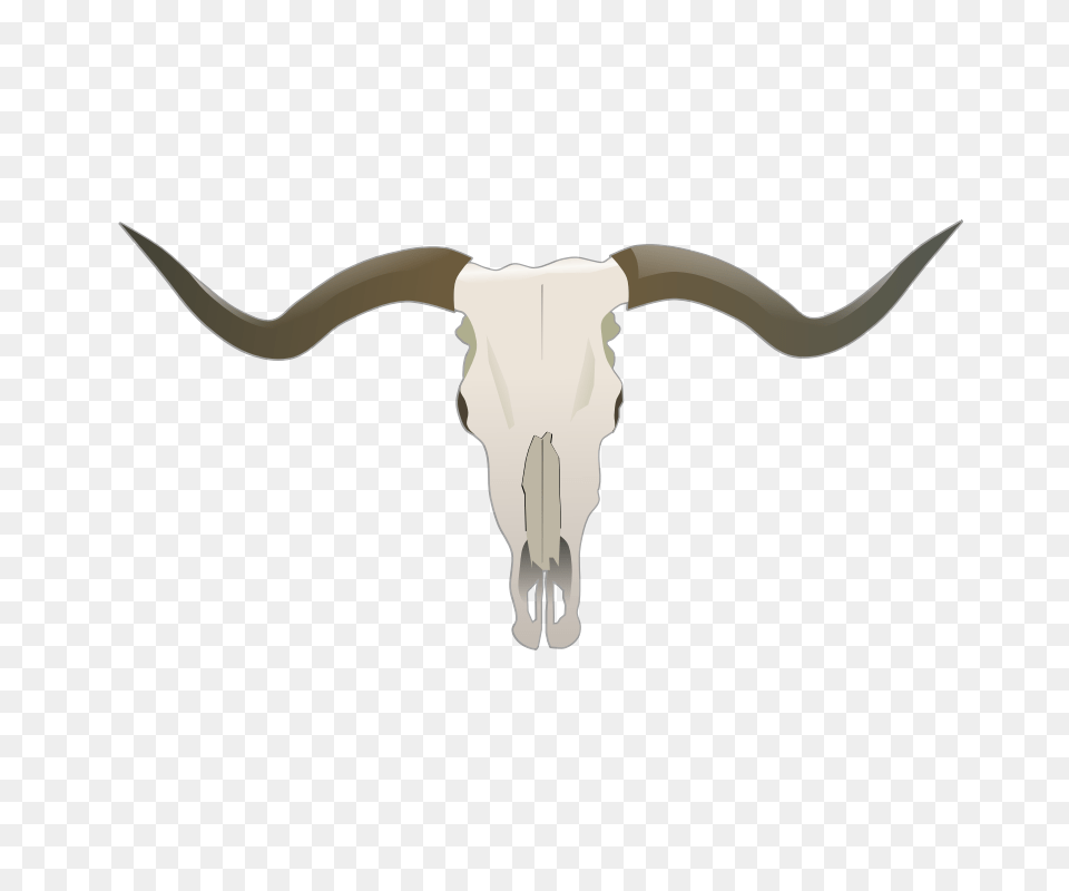 Bull Skull Clip Art, Animal, Cattle, Livestock, Longhorn Free Png