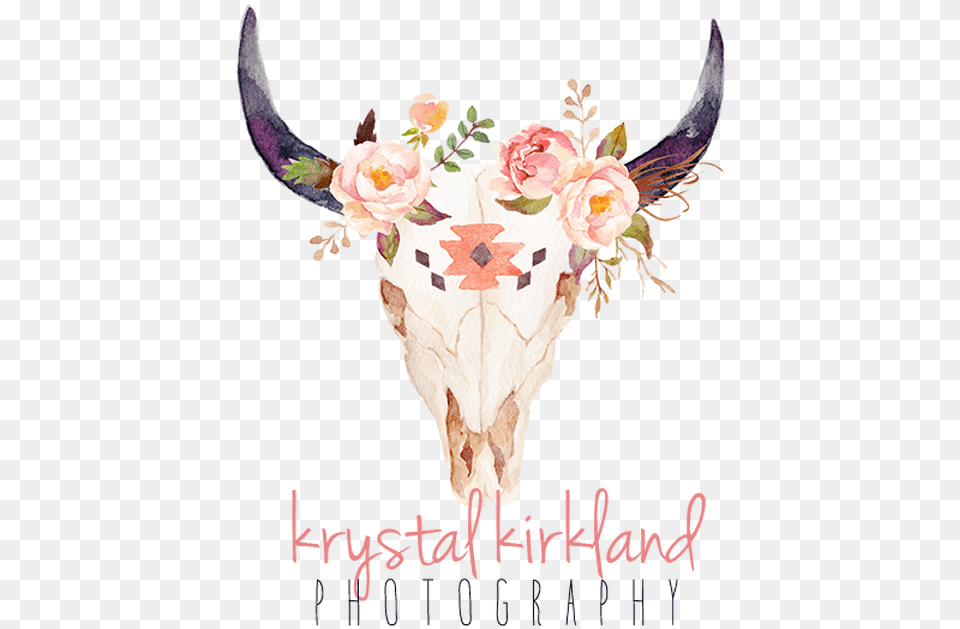 Bull Skull With Flowers Painting, Pattern, Flower, Plant, Rose Free Transparent Png