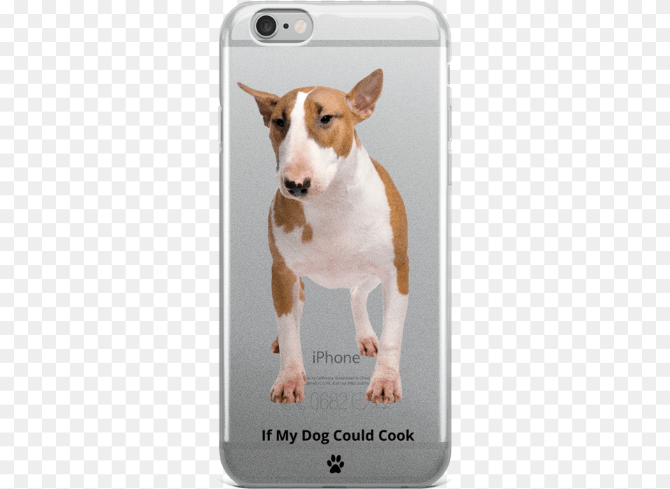 Bull Terrier, Animal, Canine, Dog, Mammal Free Png Download