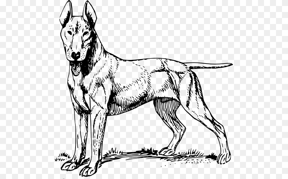 Bull Terrier Clip Art Free Vector, Animal, Canine, Mammal, Dog Png Image