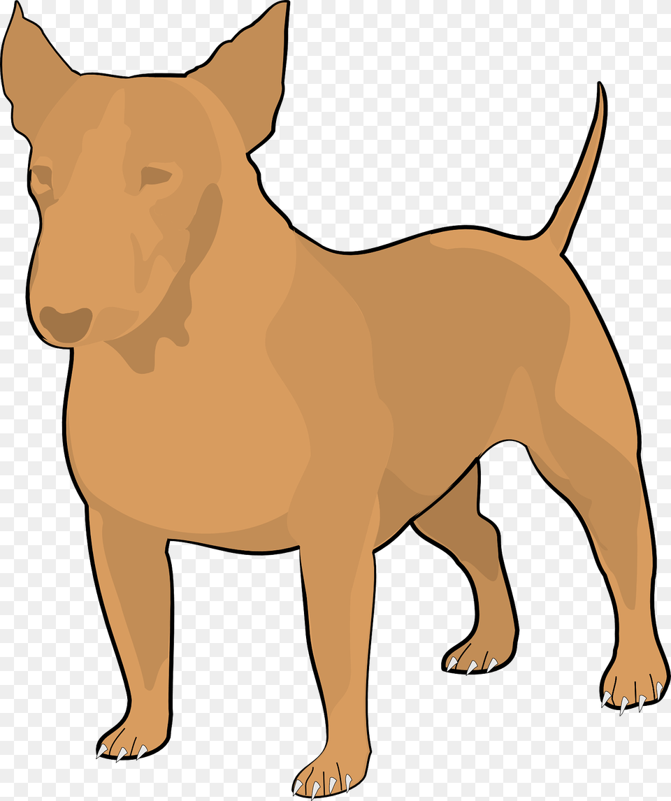 Bull Terrier Clipart, Animal, Canine, Mammal, Pet Free Png