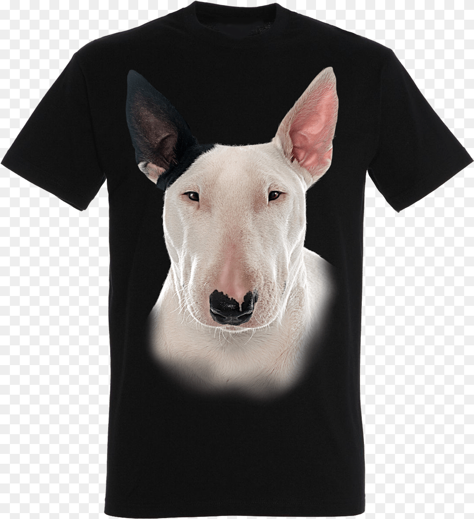 Bull Terrier Miniature, Animal, Canine, Clothing, Dog Png Image