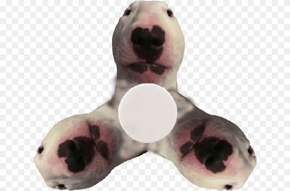 Bull Terrier Miniature, Snout, Plush, Toy, Animal Png Image