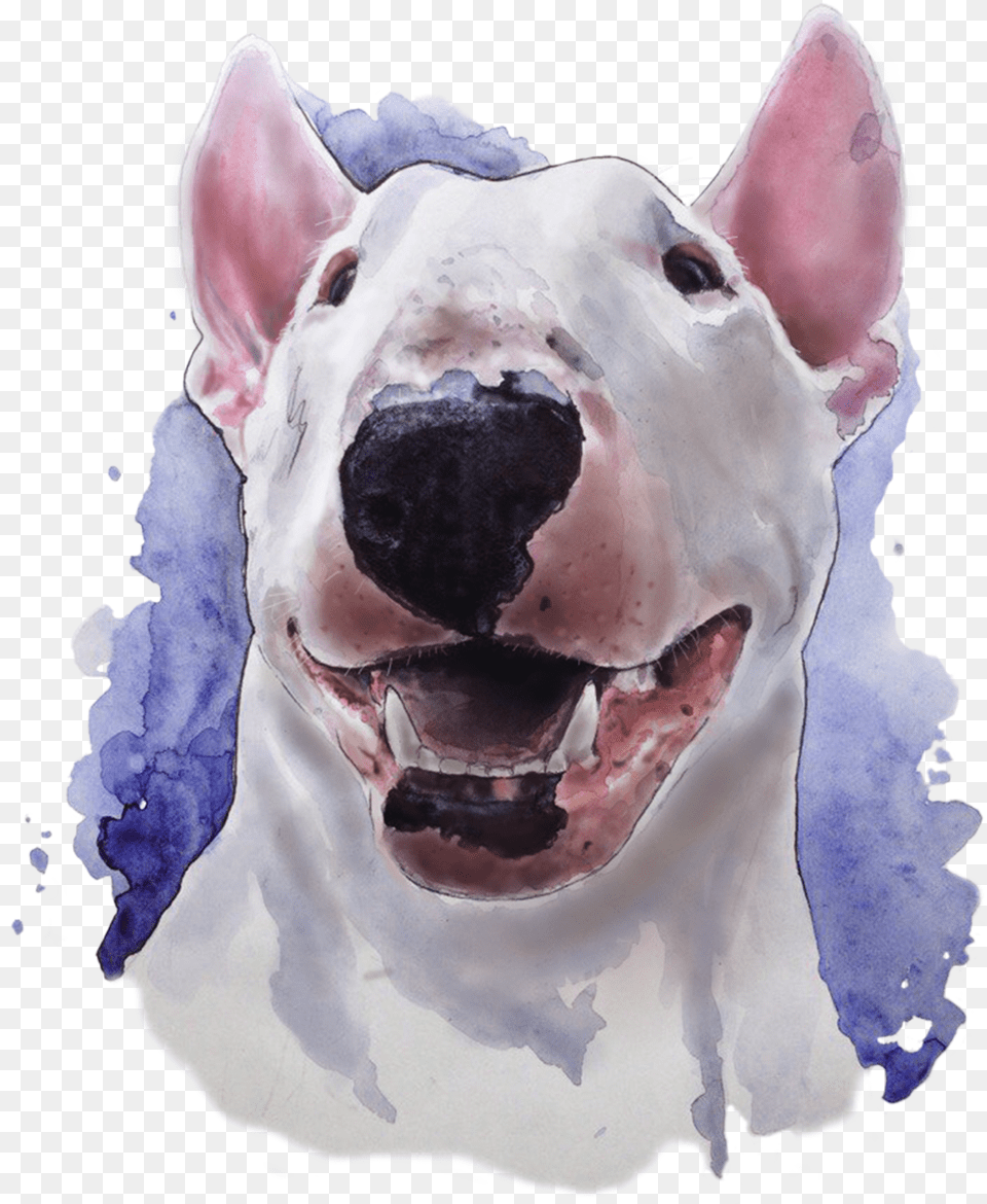 Bull Terrier Watercolor Bull Terrier Watercolor, Tin, Can, Alcohol, Beer Free Transparent Png