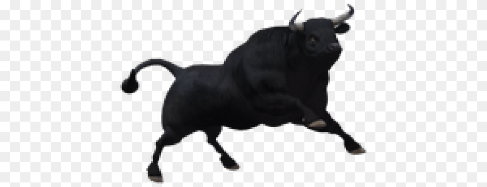 Bull Transparent Images Bull Transparent, Animal, Mammal, Person, Wildlife Free Png Download