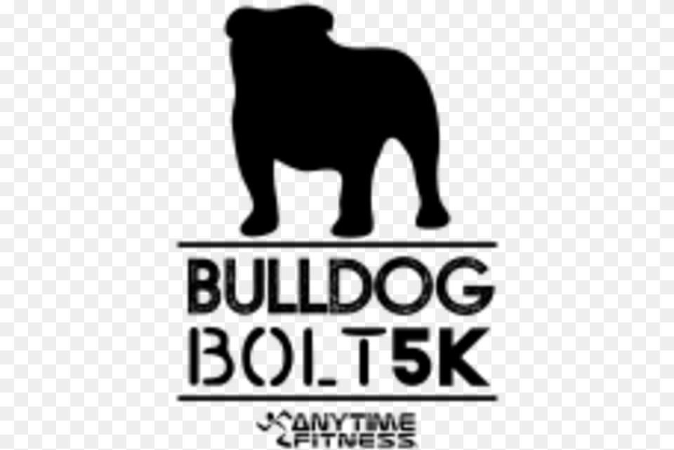 Bulldog Bolt 5k 1mi Pet Walk Anytime Fitness, Gray Png Image
