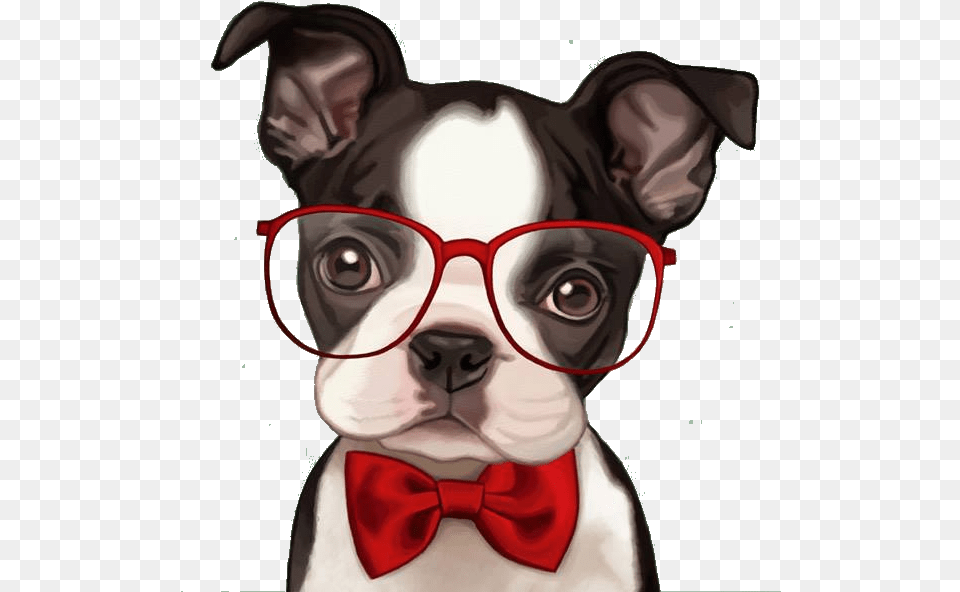 Bulldog Boston Pug French American Retro Party Clipart Boston Terrier Cartoon, Accessories, Person, Formal Wear, Tie Png